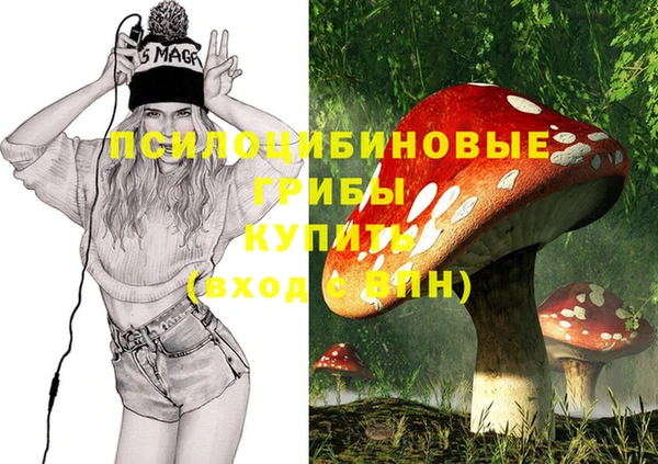 a pvp Елизово