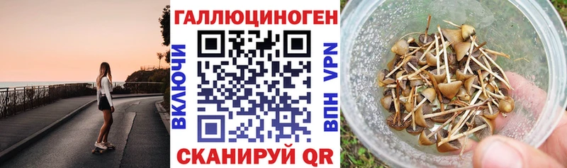 hydra зеркало  Сковородино  Псилоцибиновые грибы прущие грибы 